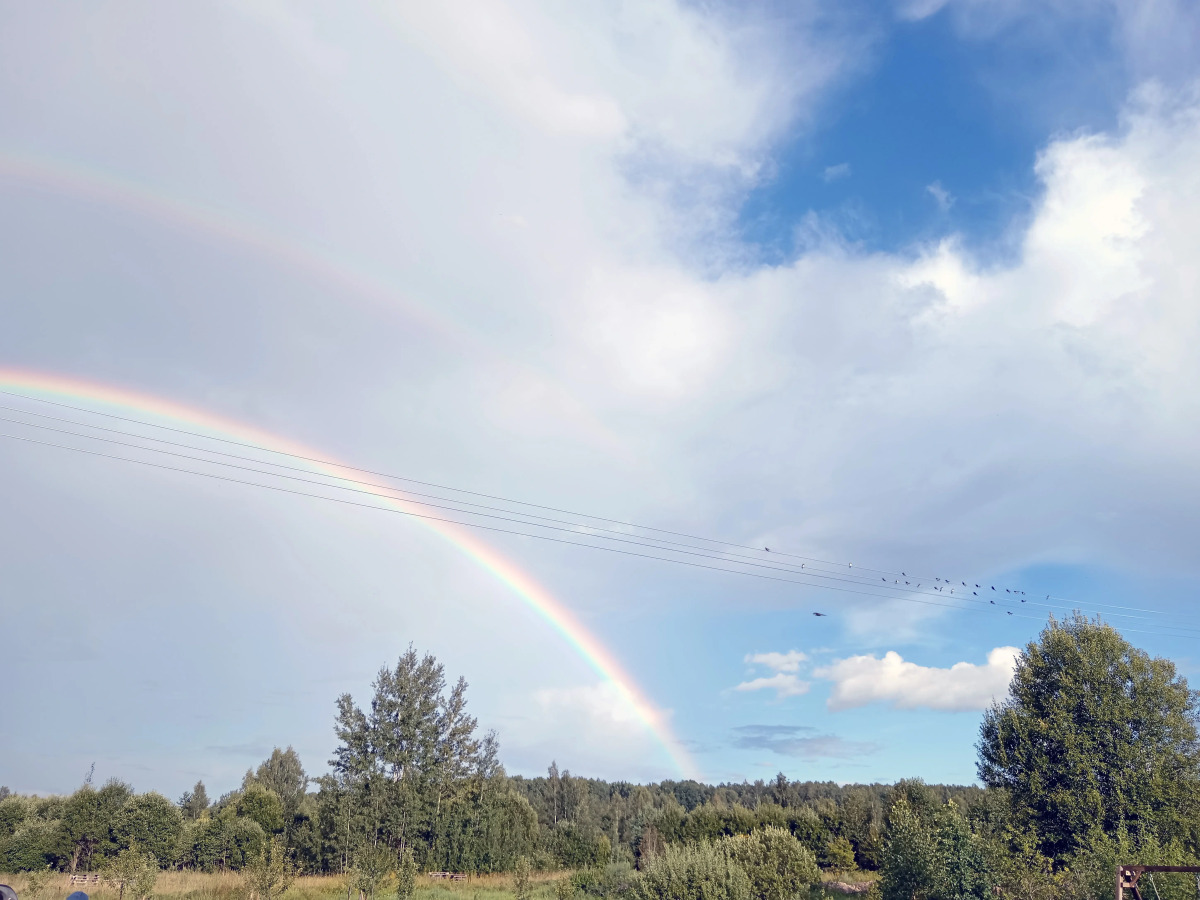 Гостевой дом в деревне Чернокуново