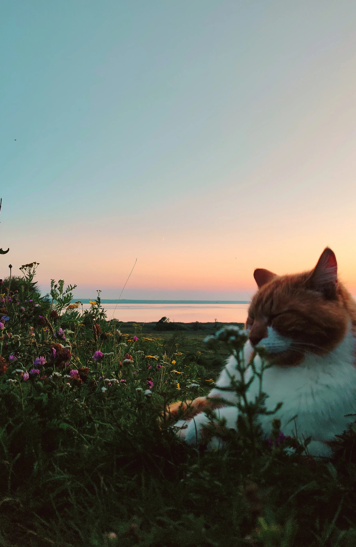 Гостевой Дом Семейные Апартаменты Белый Кролик