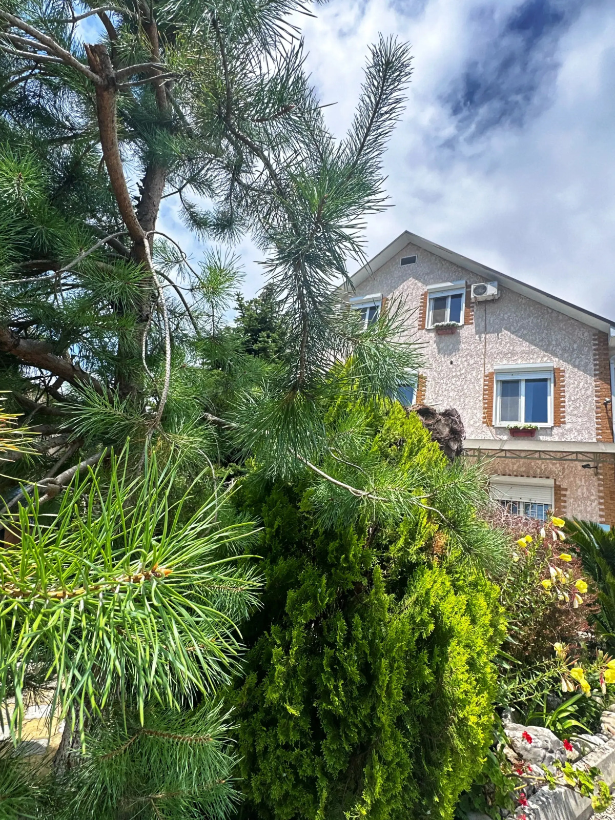 Гостевой дом Бархатный сезон