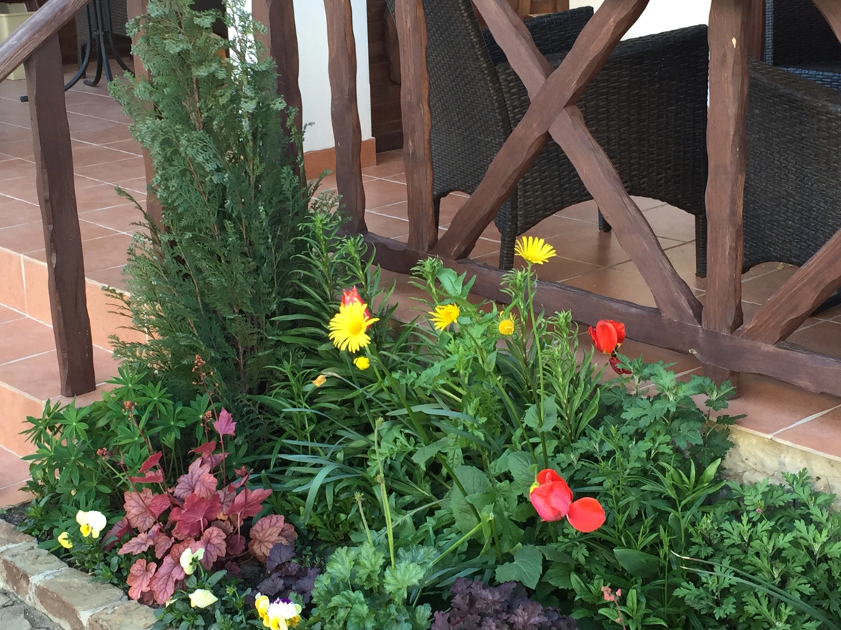 Гостевой Дом Серенада