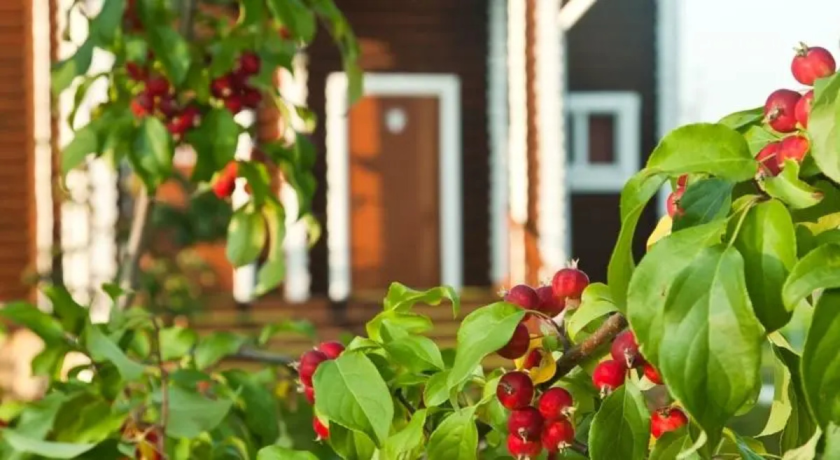 Отель Загородный клуб