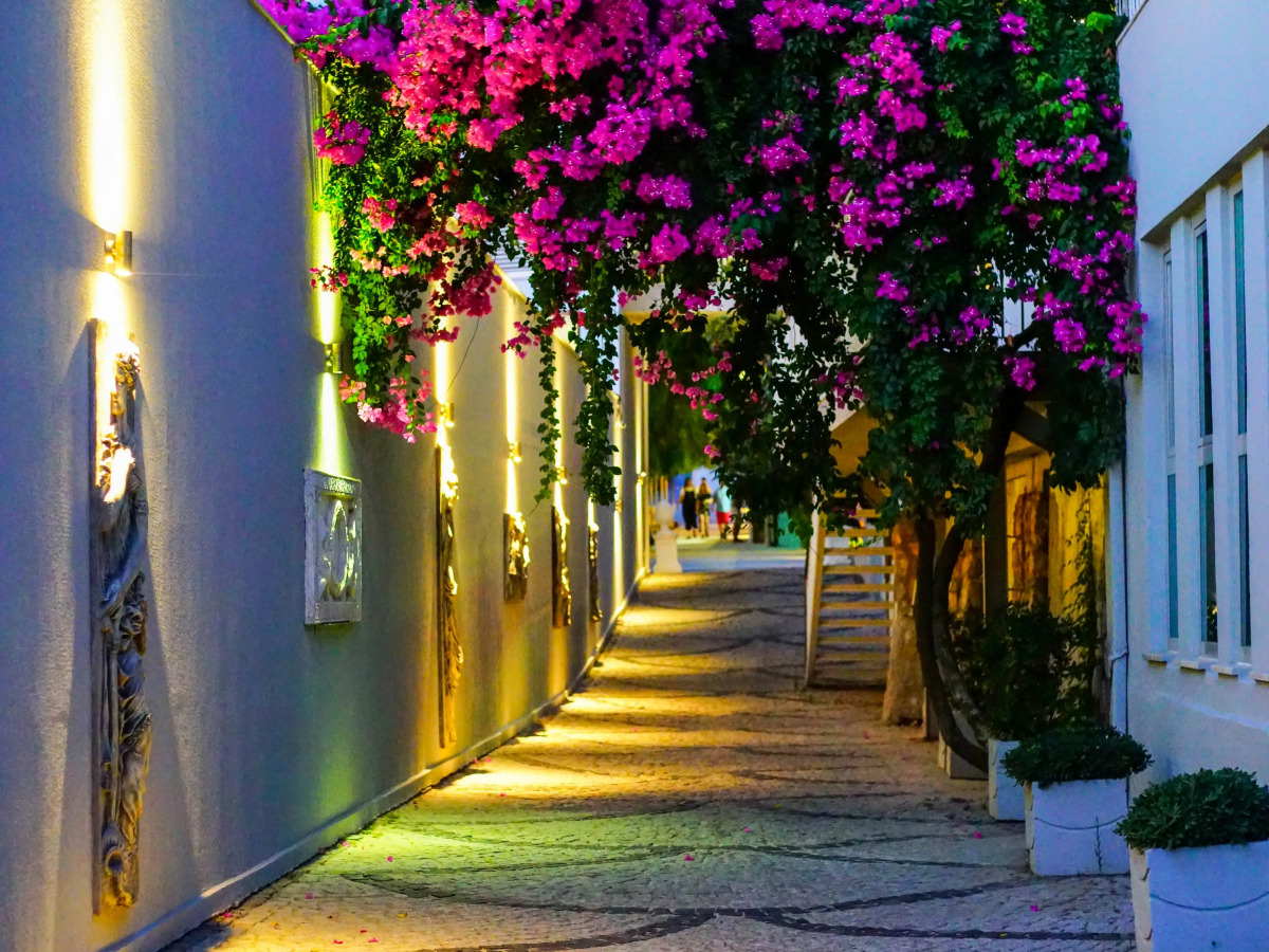 Отель Blue Dreams Resort