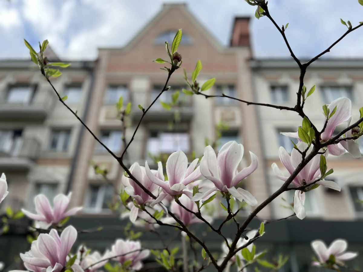 Квартира Очарование Кёнигсберга в самом сердце Янтарного края