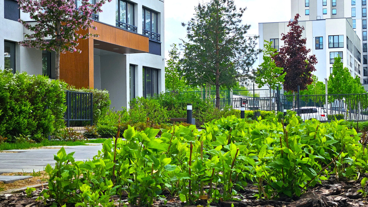 Апартаменты Добрый Дом в Деловом Центре Города