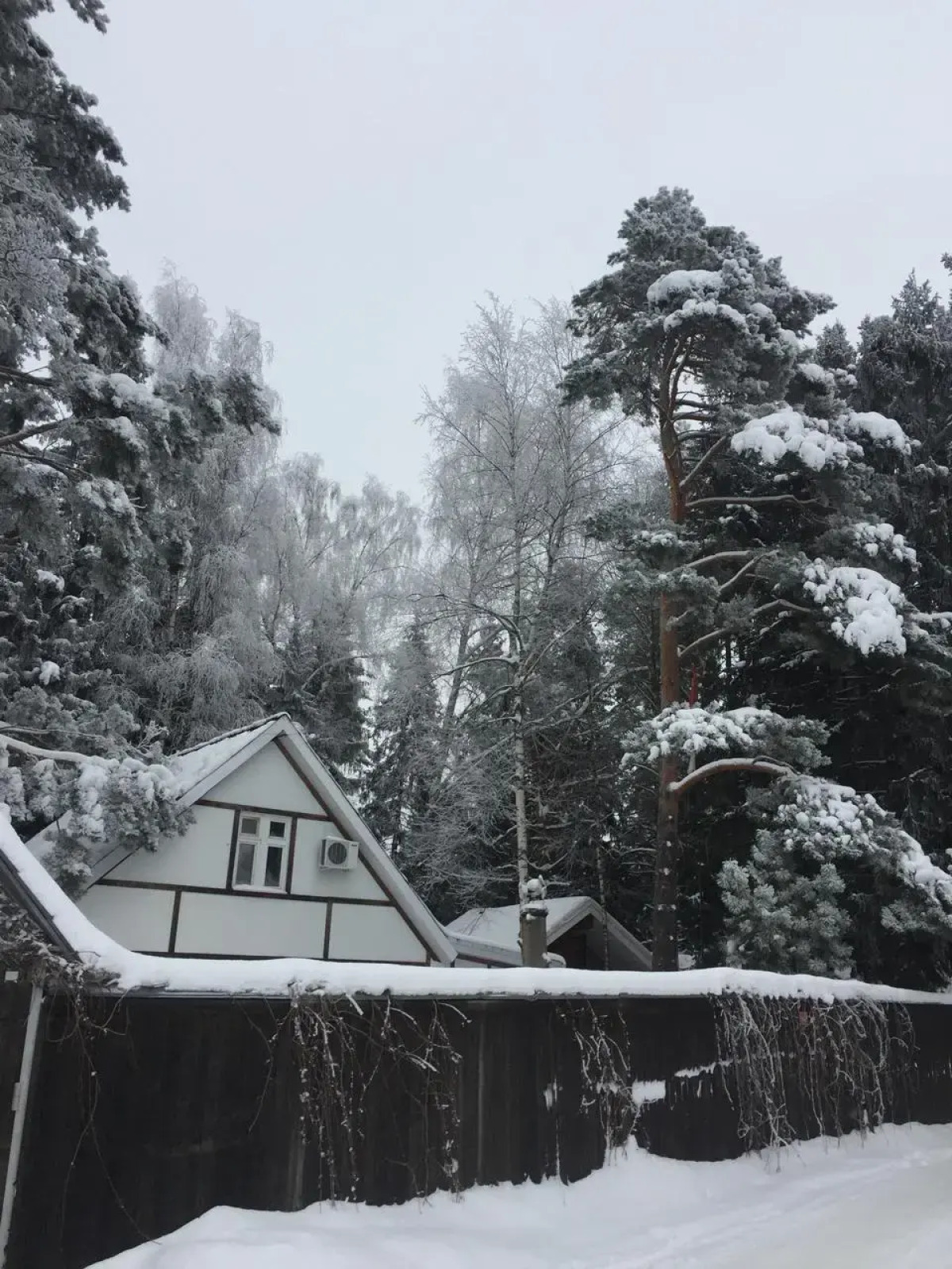 Частный дом Уютный дом в сосновом лесу