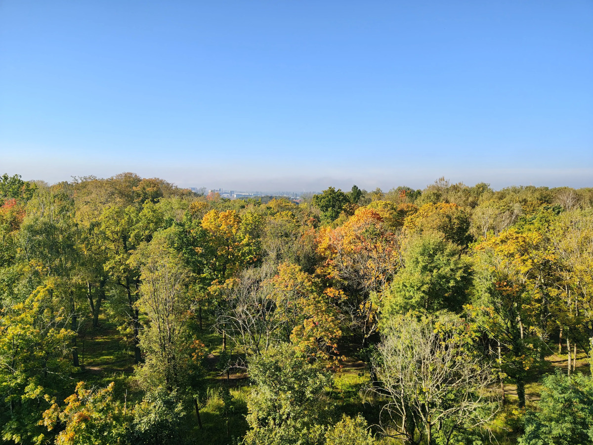 Апартаменты  Kenig Holidays с видом на парк в центре в ЖК Централ парк