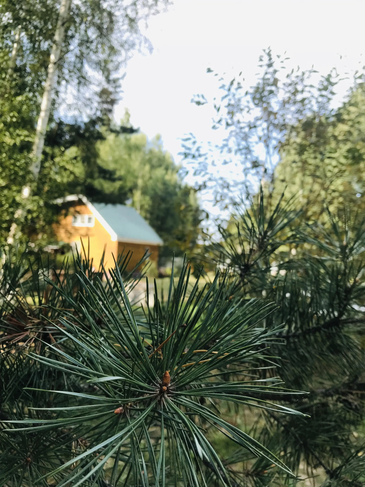 База отдыха Туристская база На Ватоме