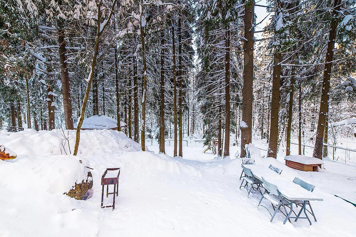 Гостевой дом  Домик Охотника