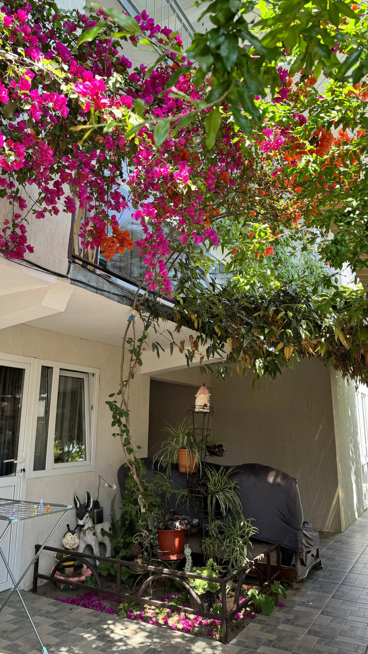 Гостевой Дом Кипарис