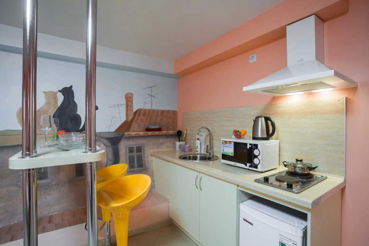 Апартаменты на Гаванской (3)