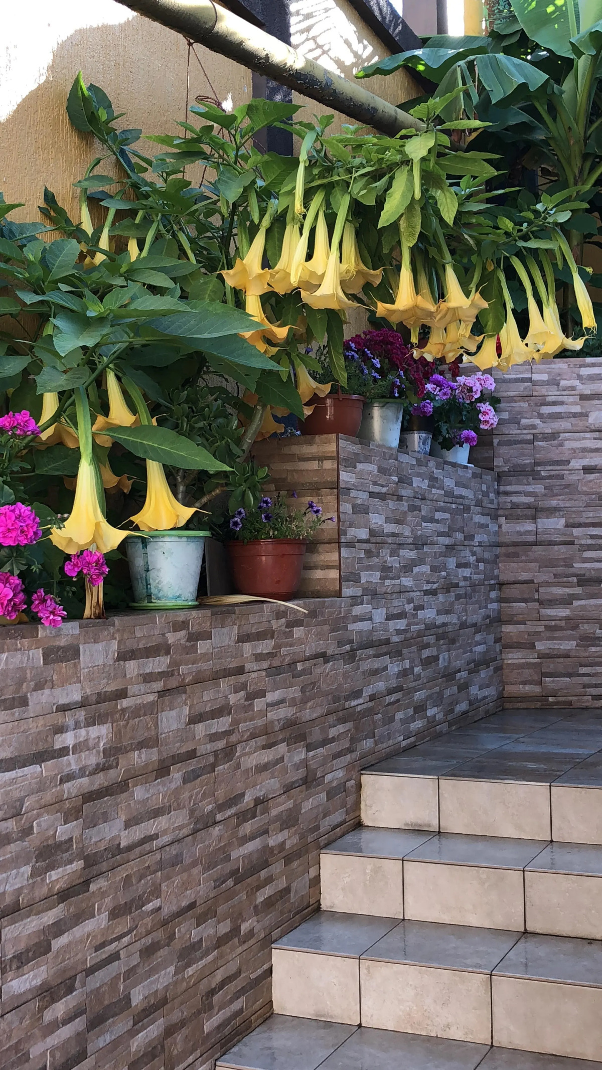 Гостевой дом Виктория плюс