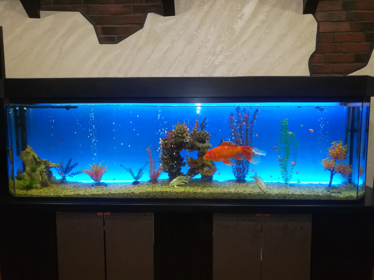 Городской отель Ключотель