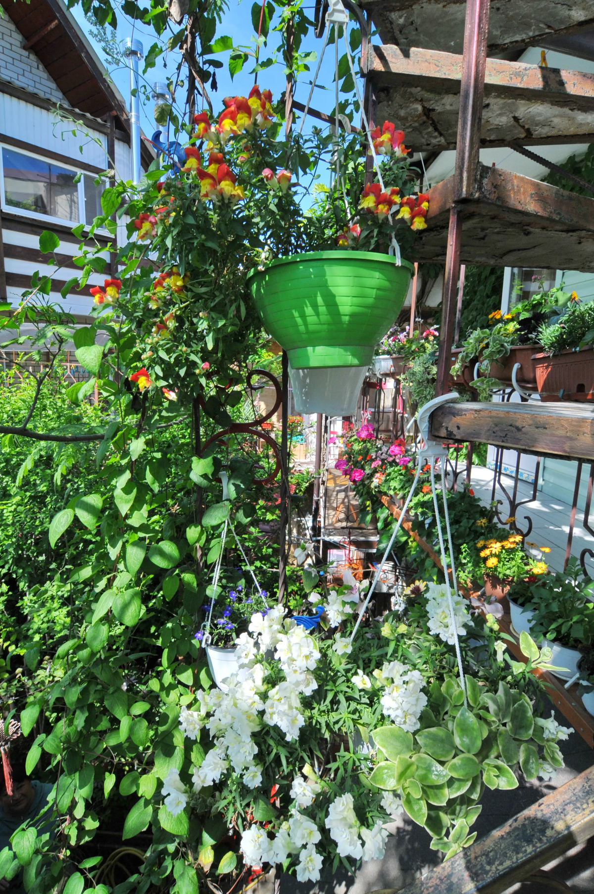 Гостевой дом Роман и Светлана