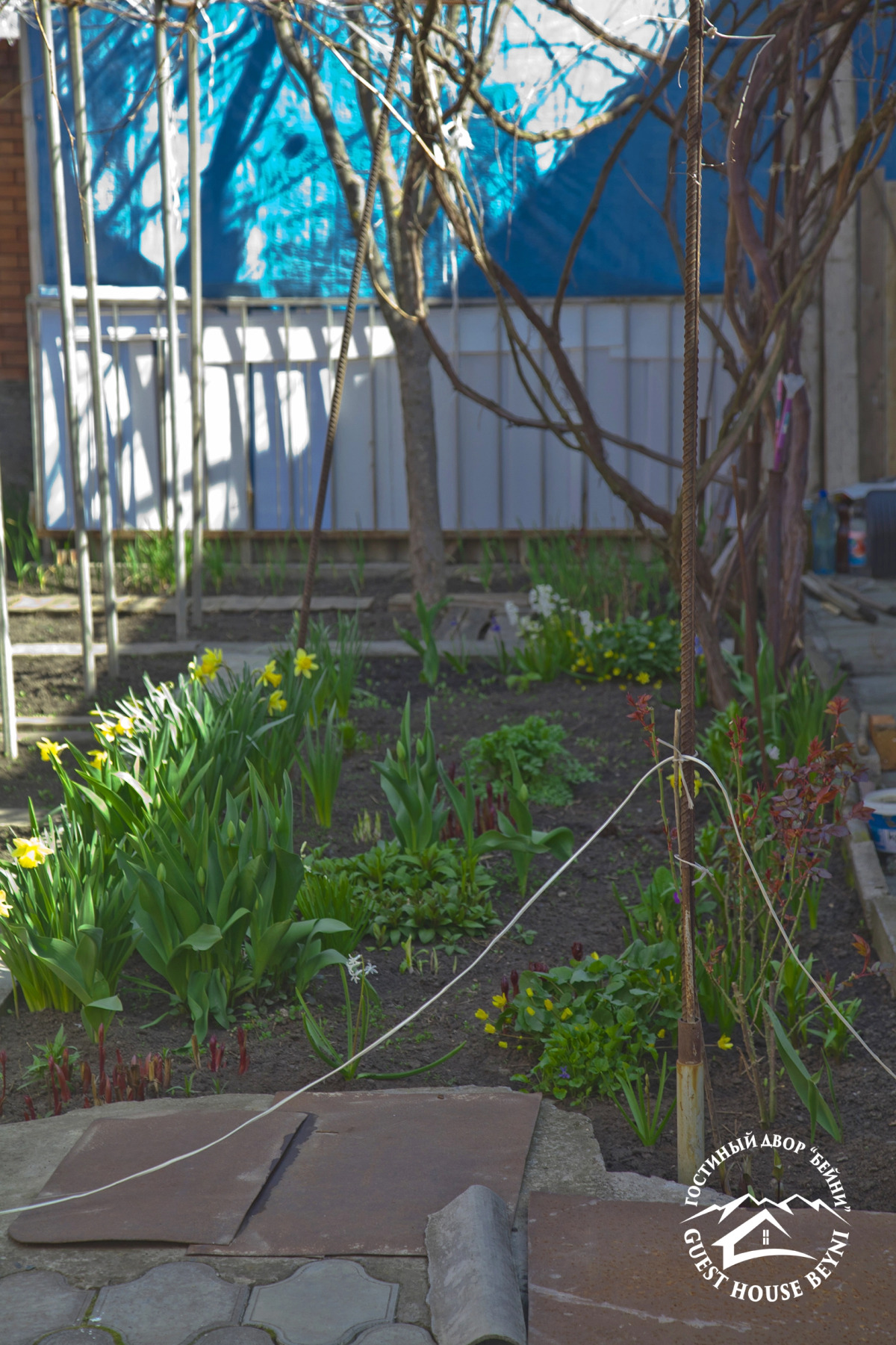 Гостевой дом Beyni