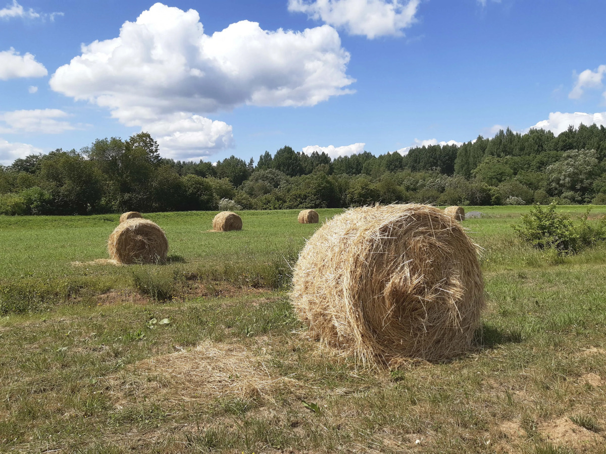 Гостевой дом в деревне Чернокуново