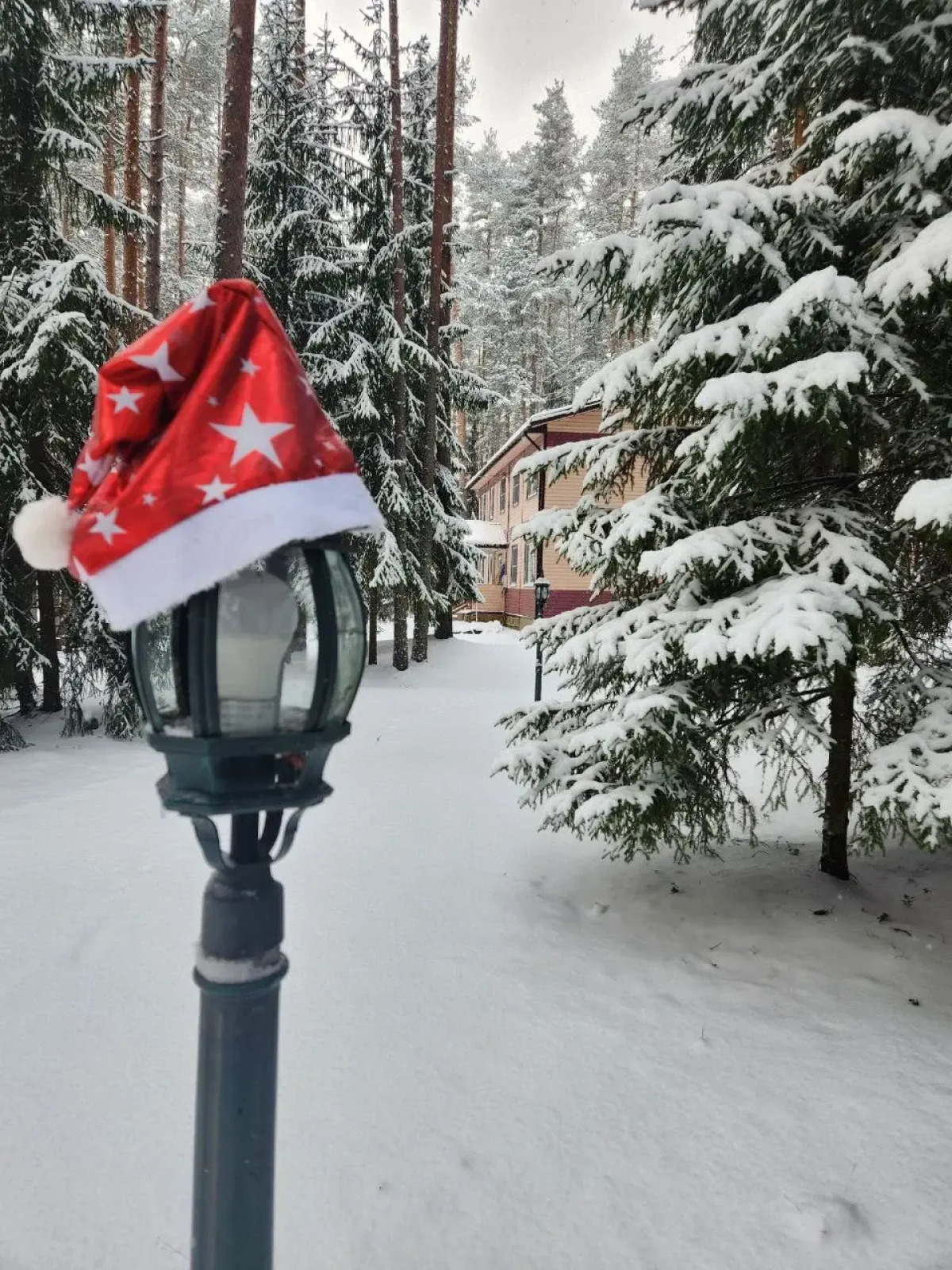 Отель База отдыха Заветное