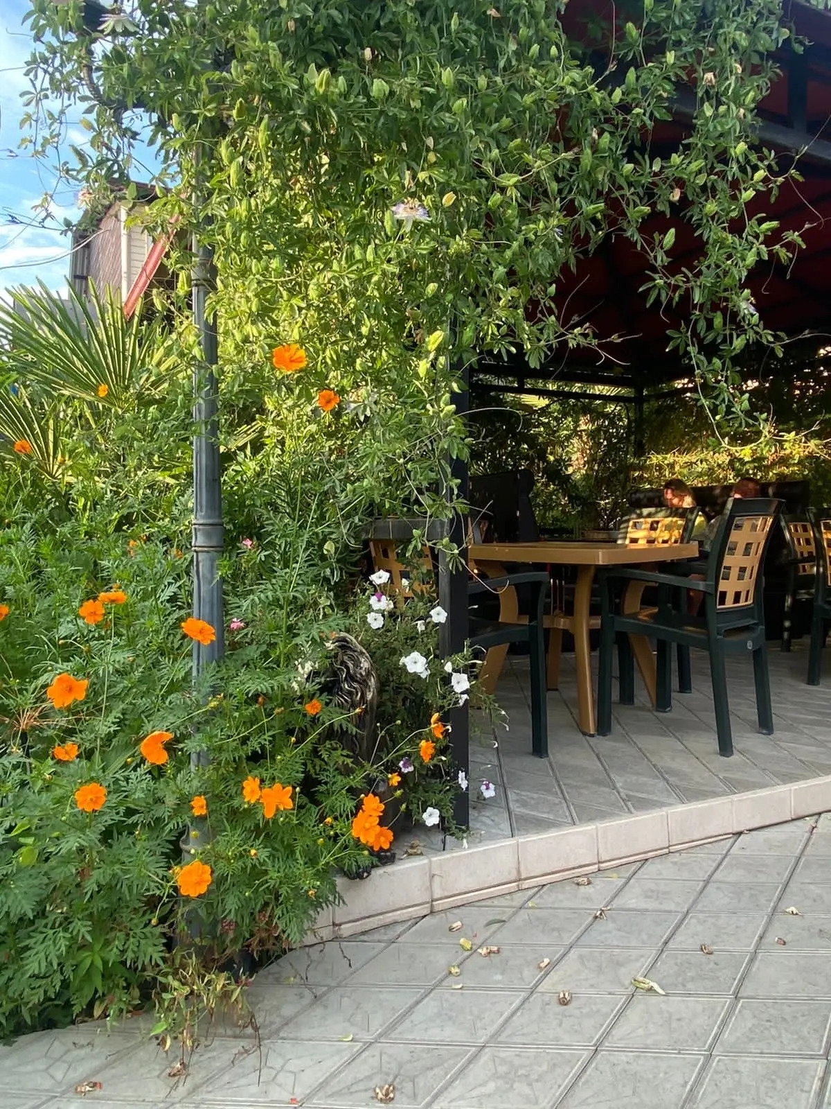 Гостевой дом Морская сказка