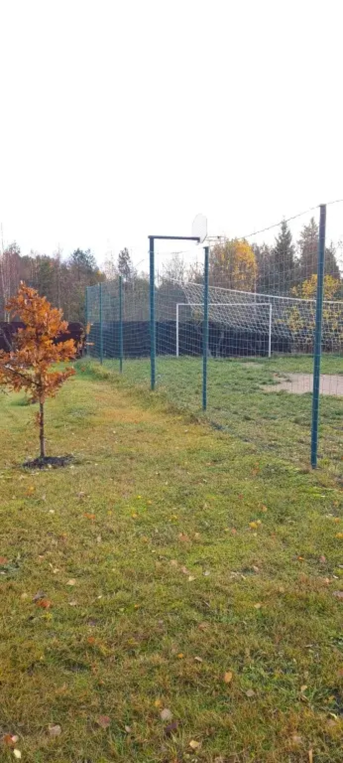 Апартаменты Валдай Пространство мечты 1