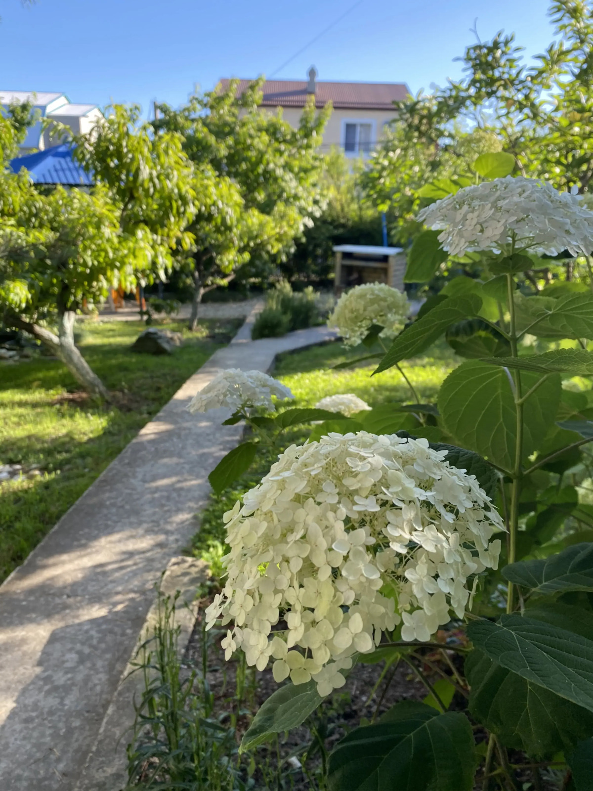 Гостевой Дом Голубая бухта