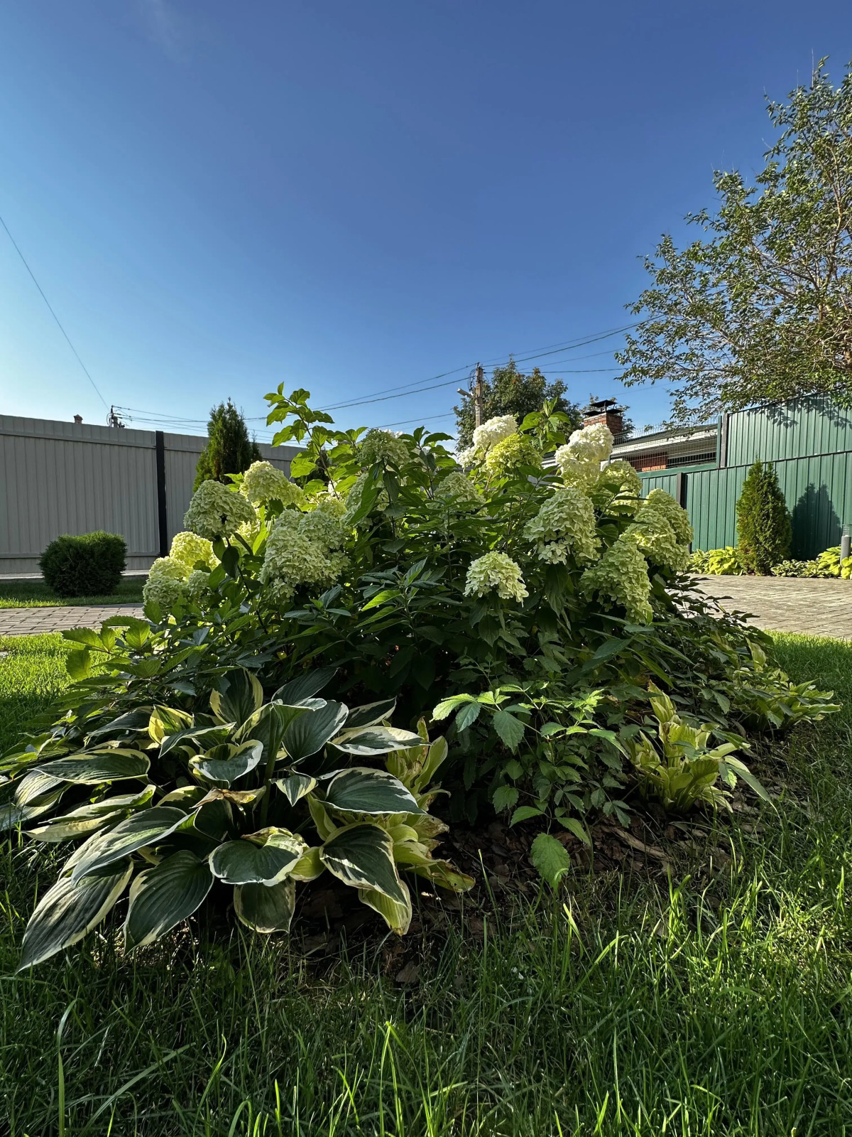 Гостевой дом Лето