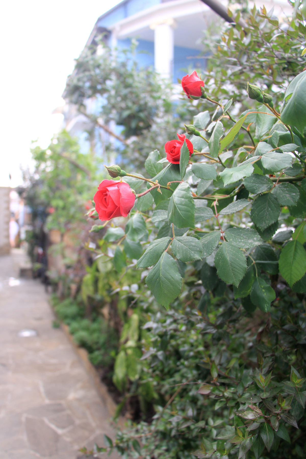 Гостевой дом на Березовой Башня