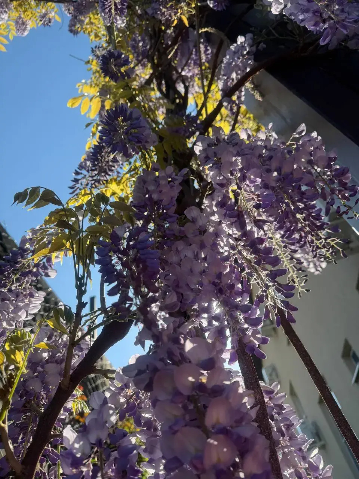 Гостевой дом "Валенсия"