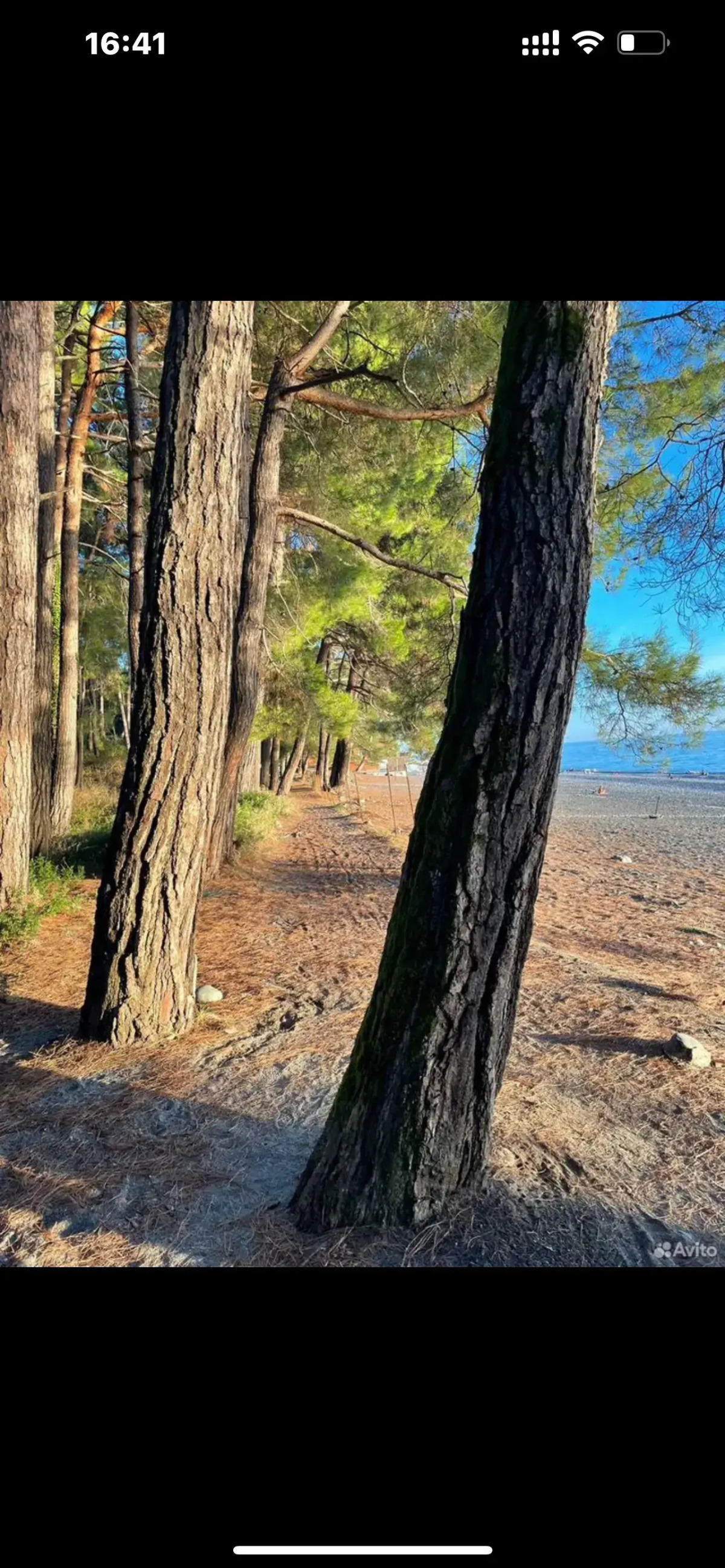 Гостевой дом Леон 10