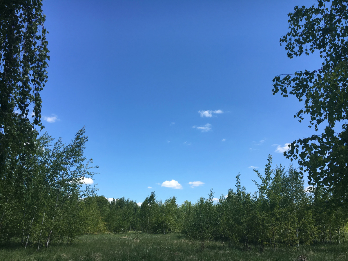 Загородный клуб Владимир