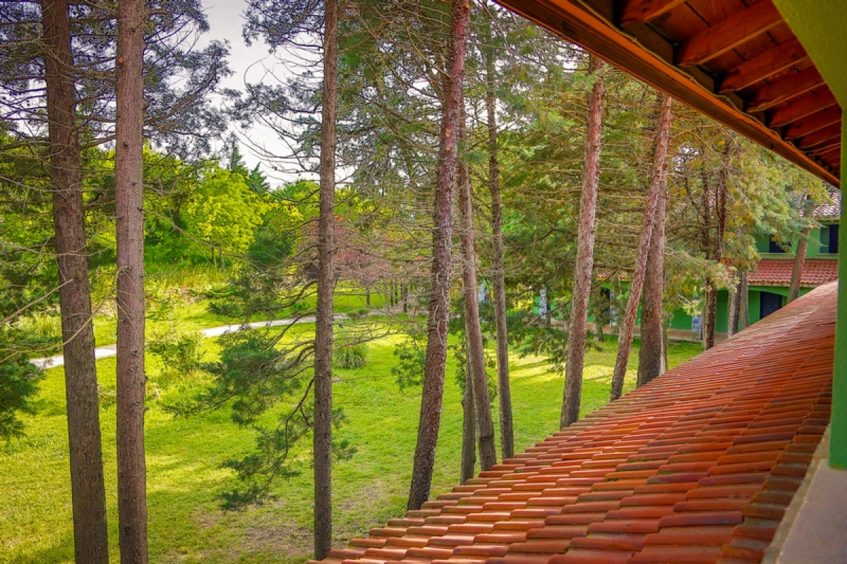 Istanbul Airport Durusu Club Hotel