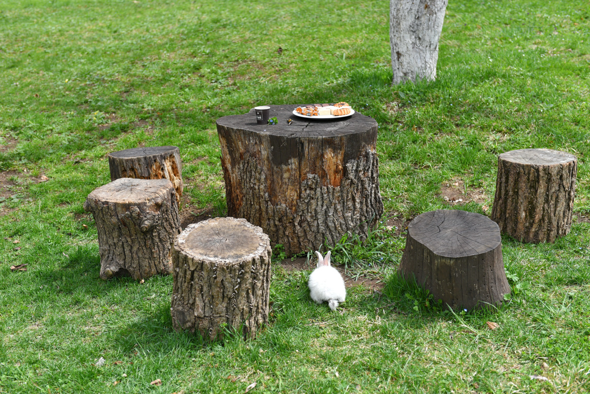 Отель Green Wood