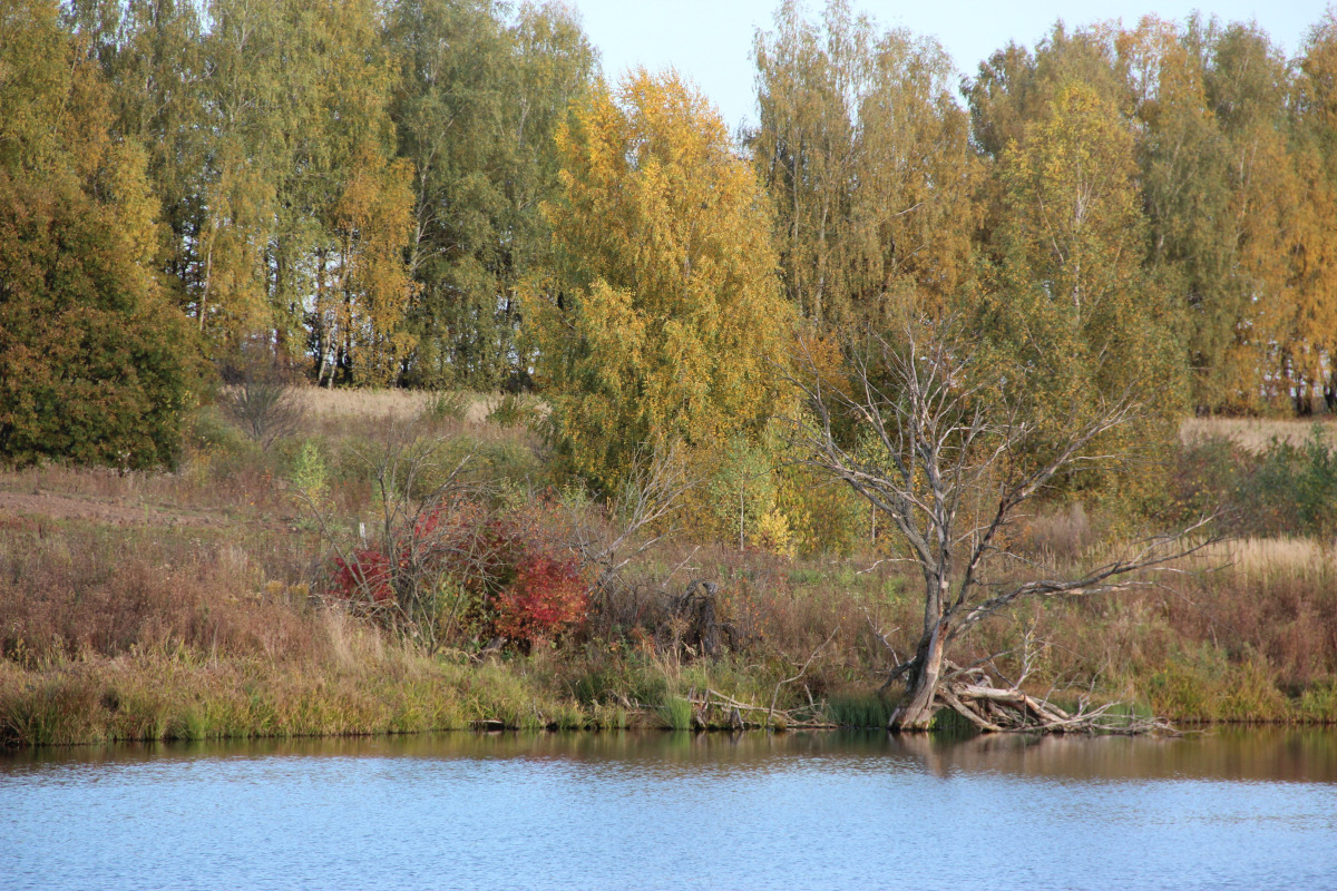 ЭКО Отель Настасьино Хуторок