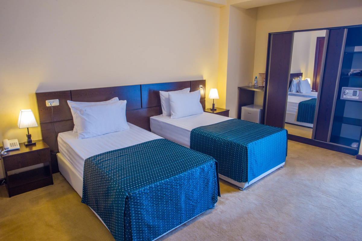 Отель Ani Central Inn