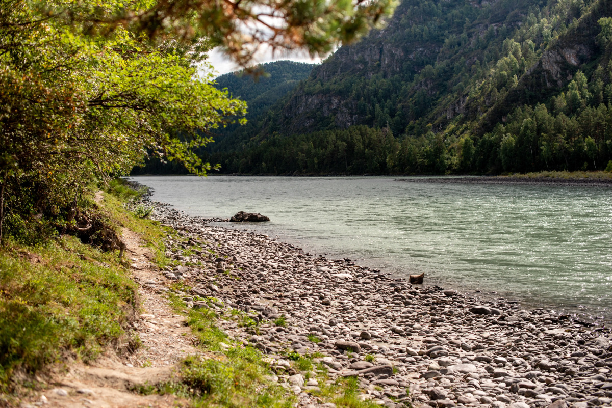 Гостевой дом АЛТАЙ БЕРЕГ ИП Рожнова Л.В.
