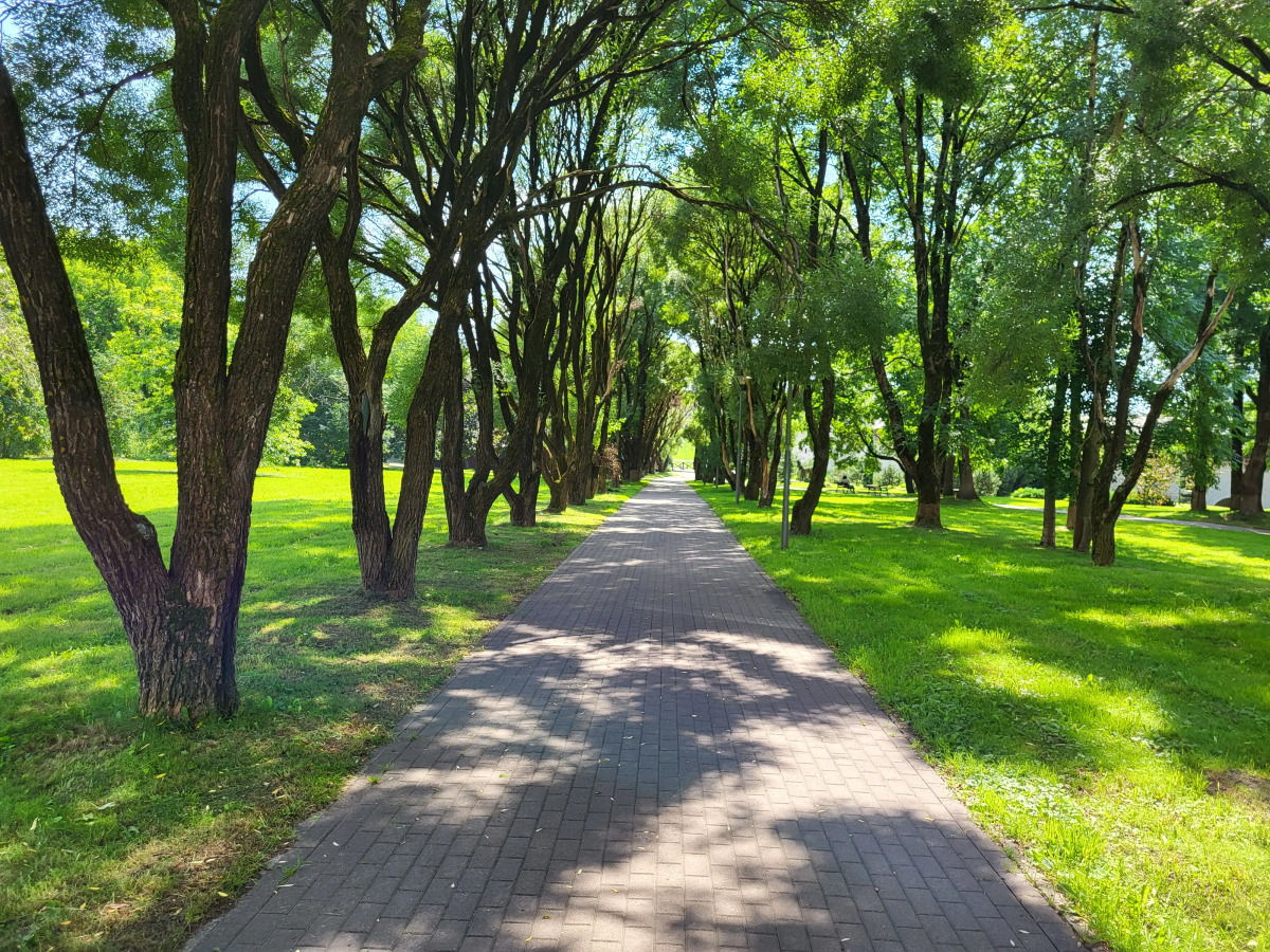 Апартаменты HANSE