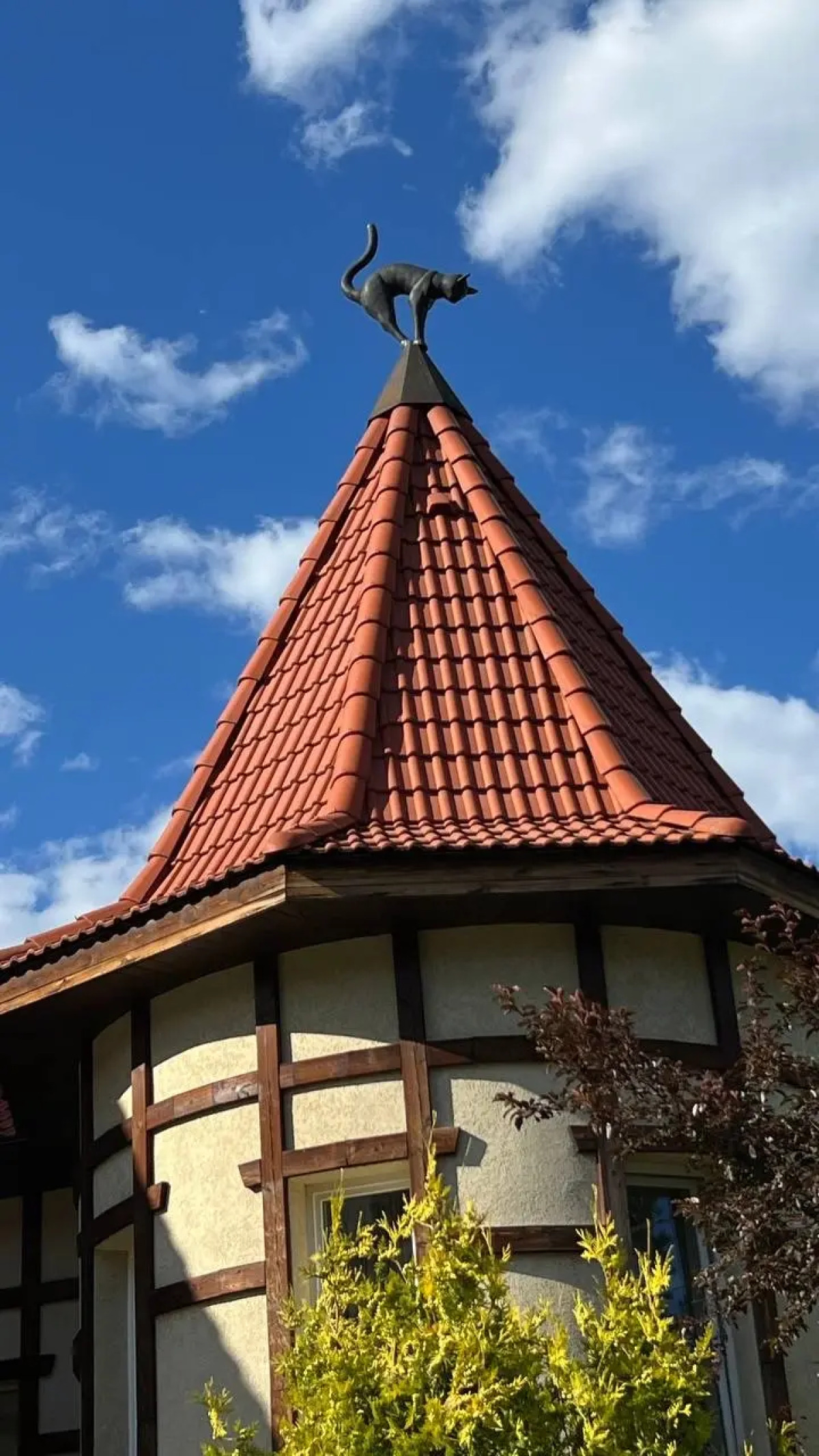 Гостевой дом Гостиный двор Кошкин Дом