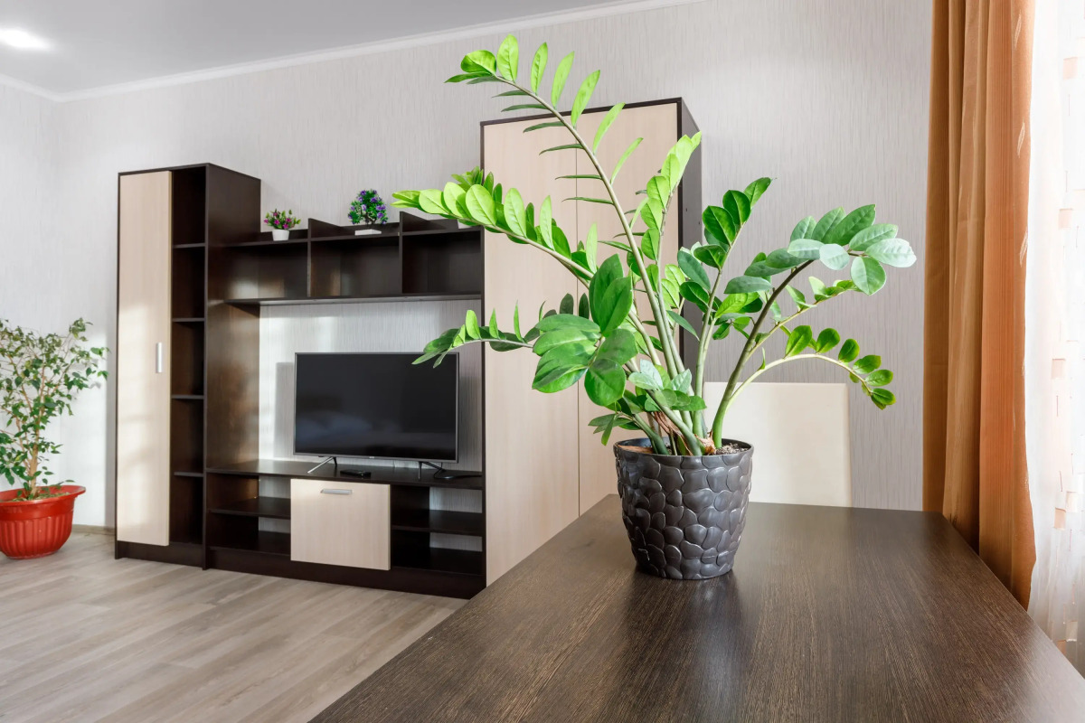 Апартаменты 1-комнатные