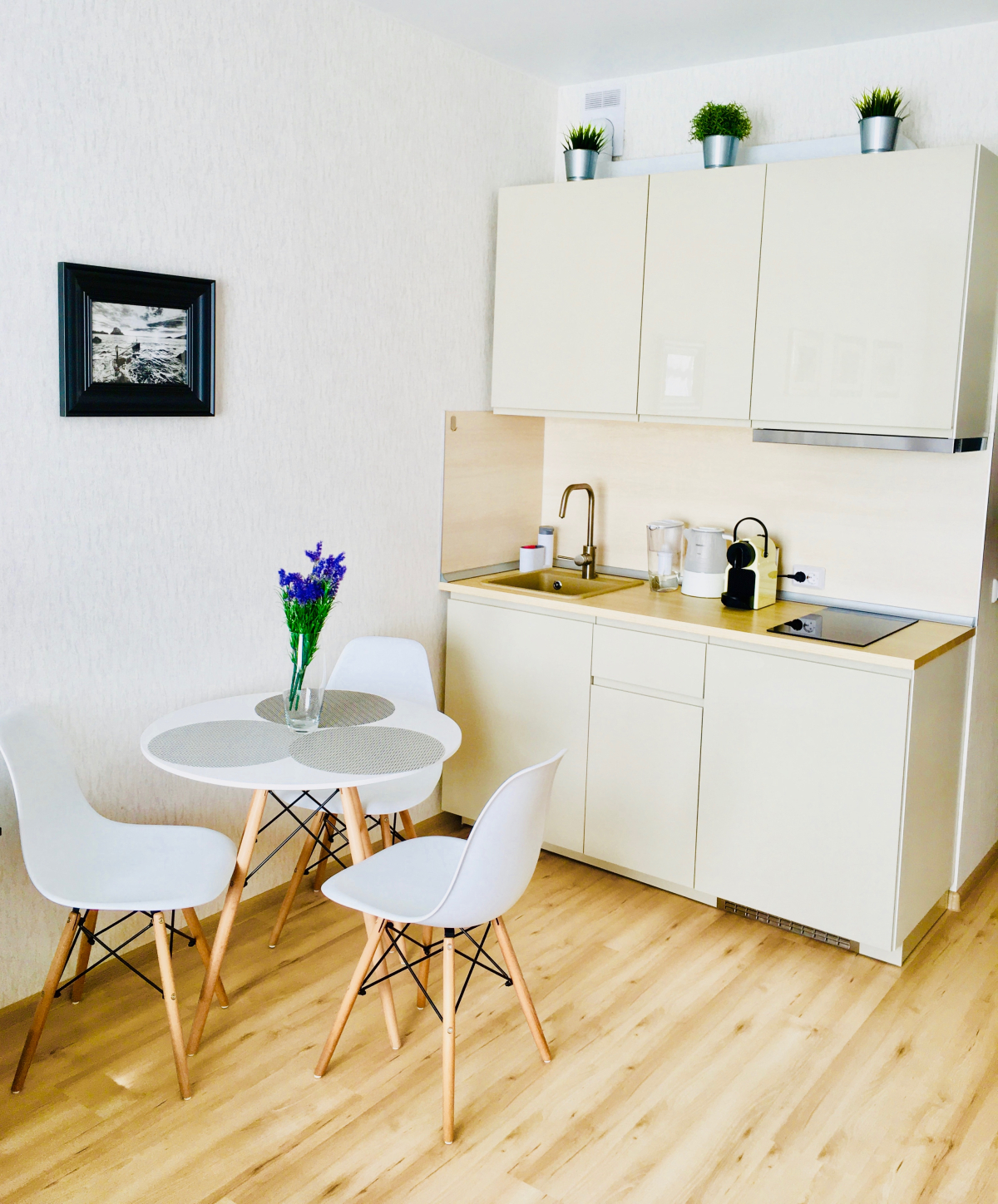 Апартаменты Elagin Studio