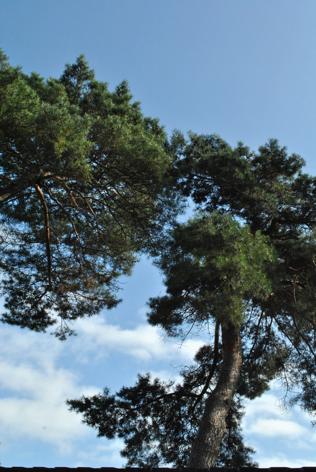 Гостевой дом На Взморье