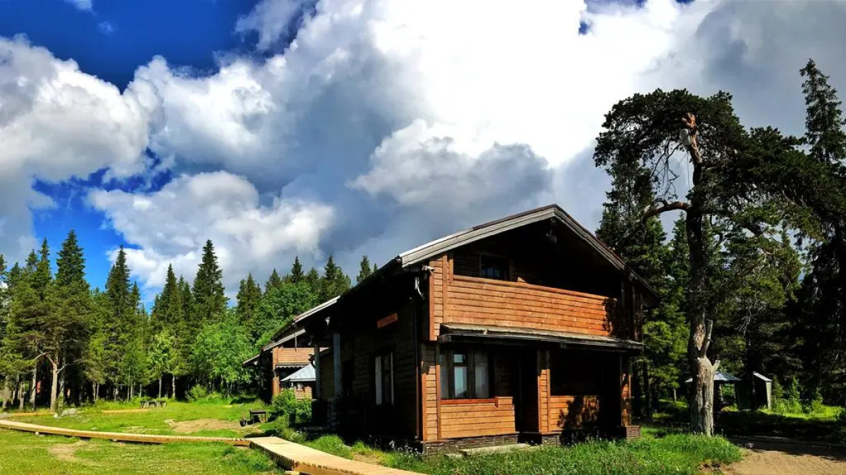 Отель Cedar Grass Белое Море
