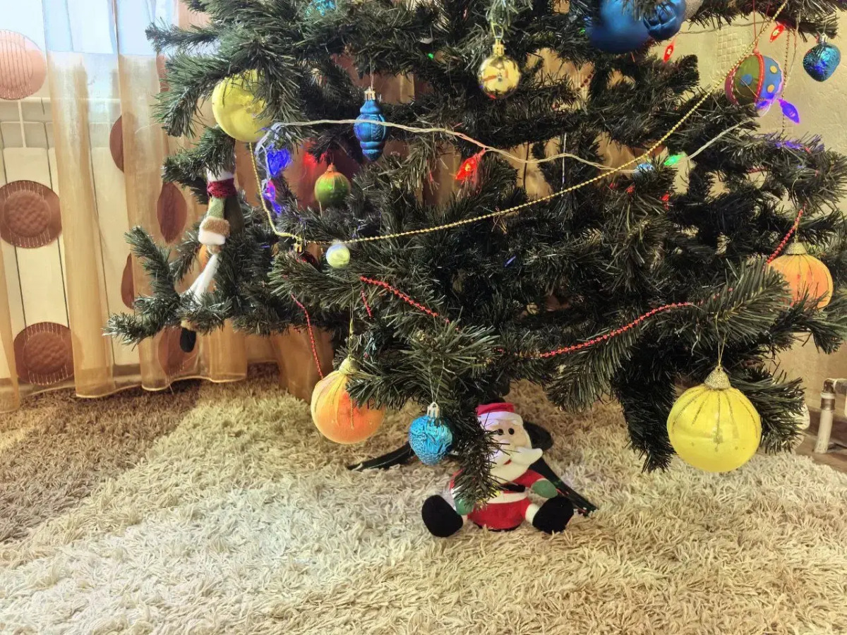 Волшебный отдых в 3-комнатной квартире: зимняя сказка в сосновом бору Великого Устюга