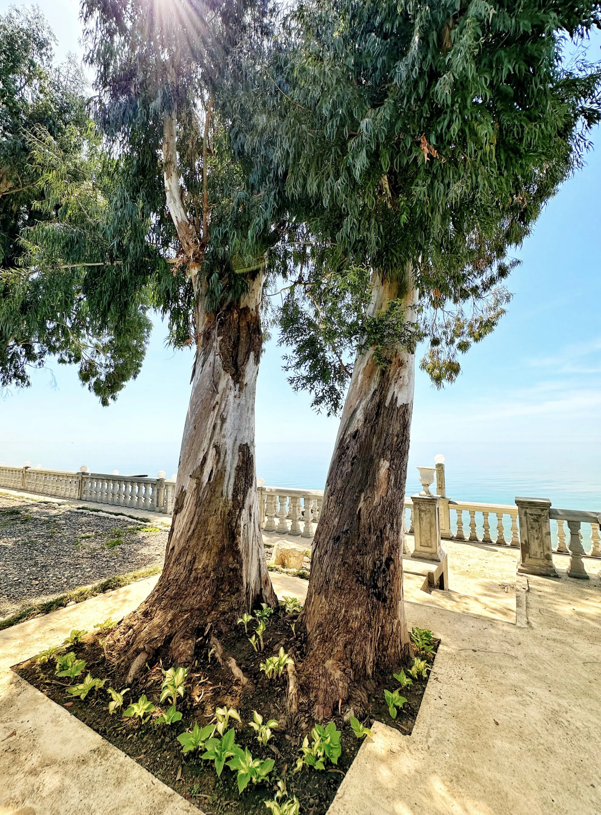 База отдыха Набережная Виктория