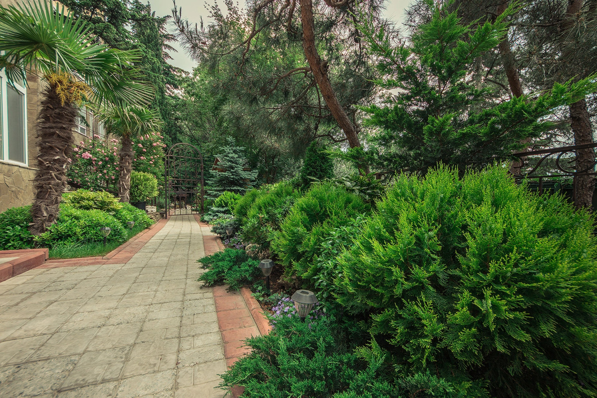 Гостевой дом Yellow Submarine