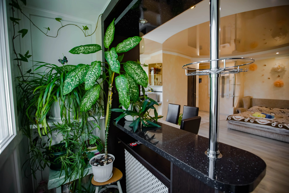 Апартаменты Сияние