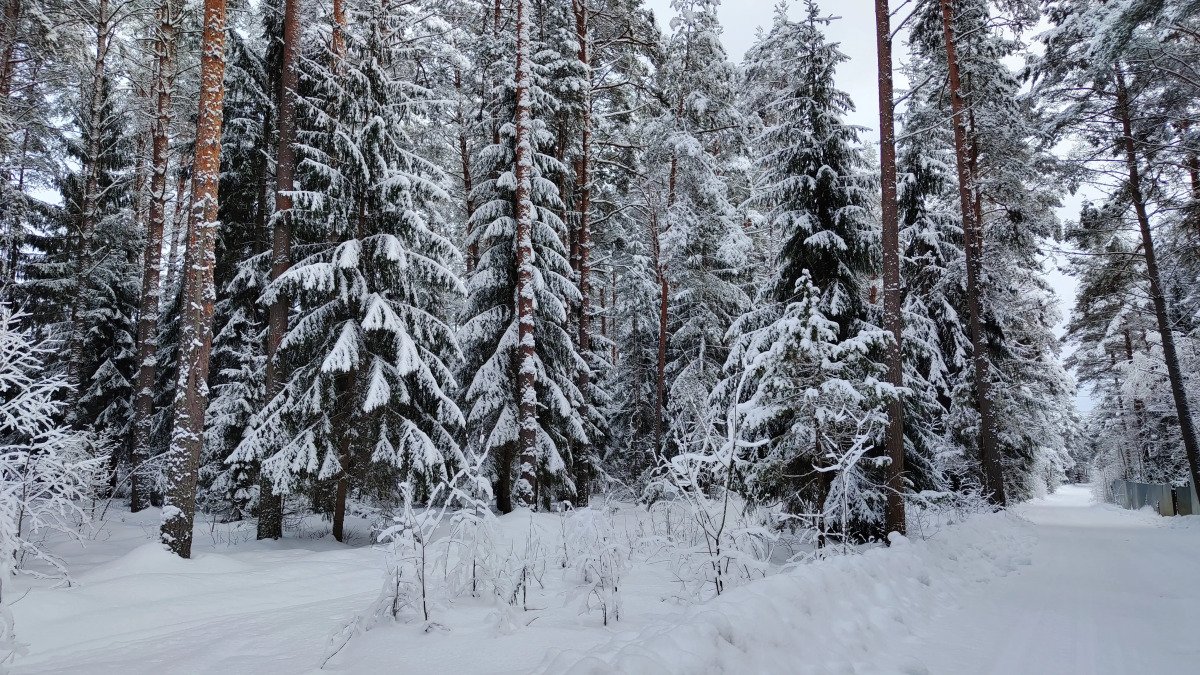 Частный дом Новый 6 местный дом у озера с банным чаном и баней.