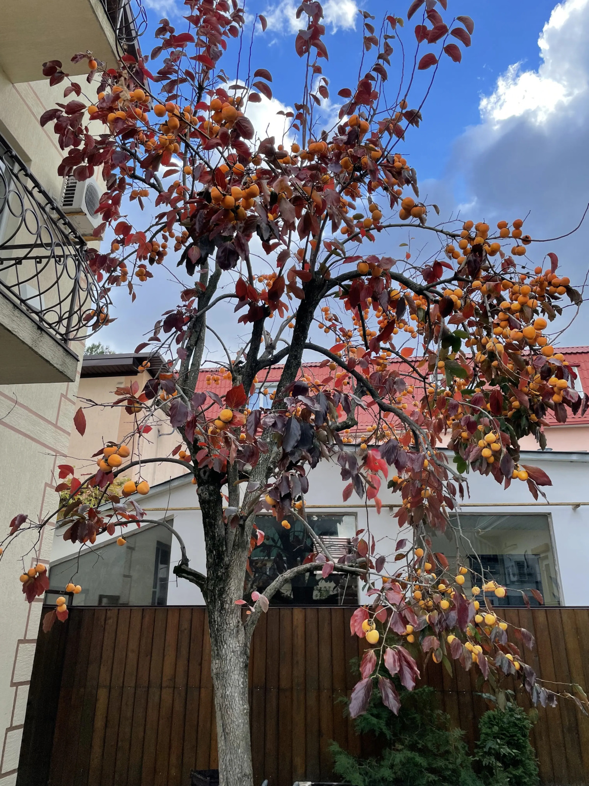 Гостевой дом Водолей