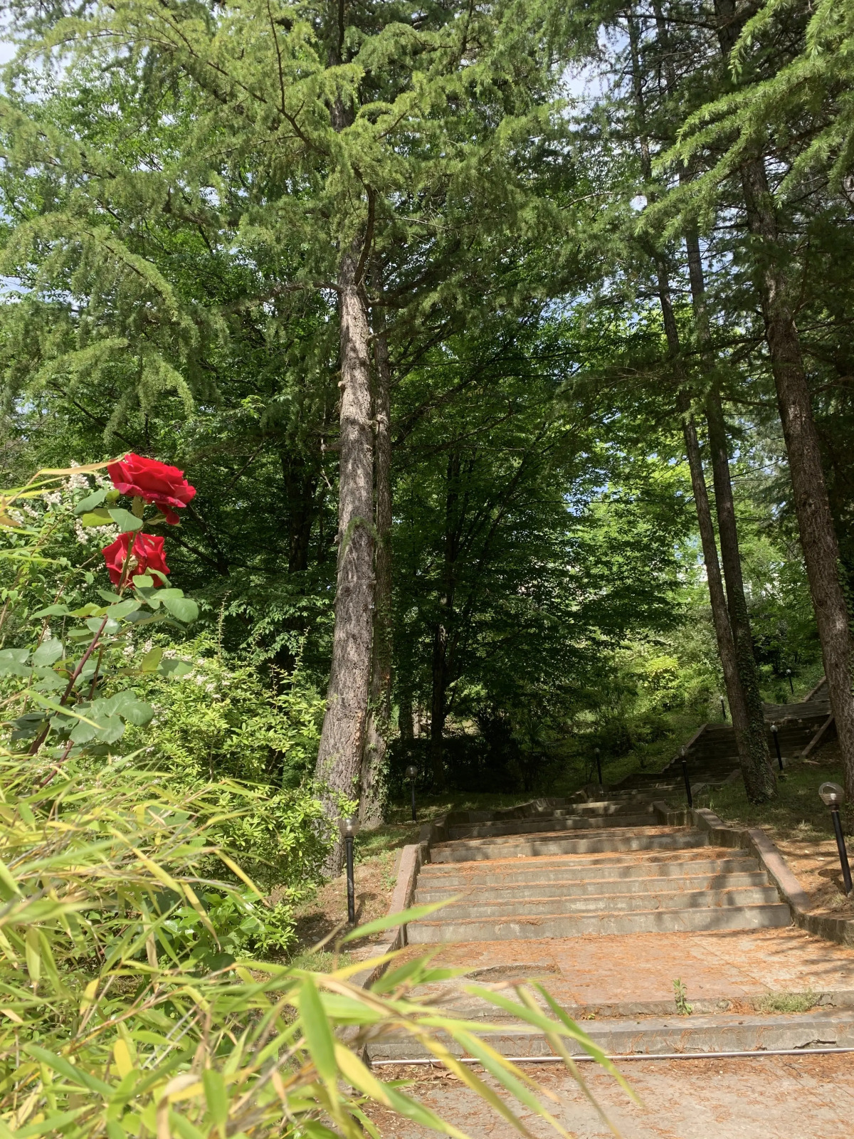 Пансионат Химик