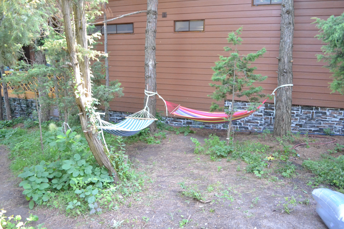 Гостевой дом Лодж Алтай