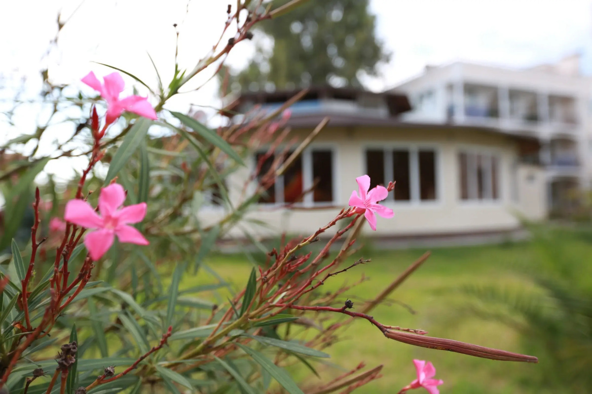 Отель Анакопия Club