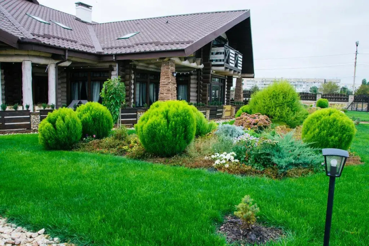 Отель WoodHouse