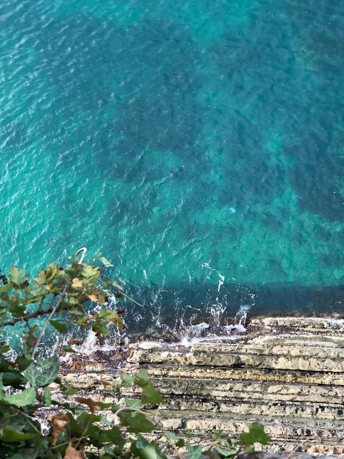 Апартаменты в Ботаническом Саду 7 Минут до Пляжа